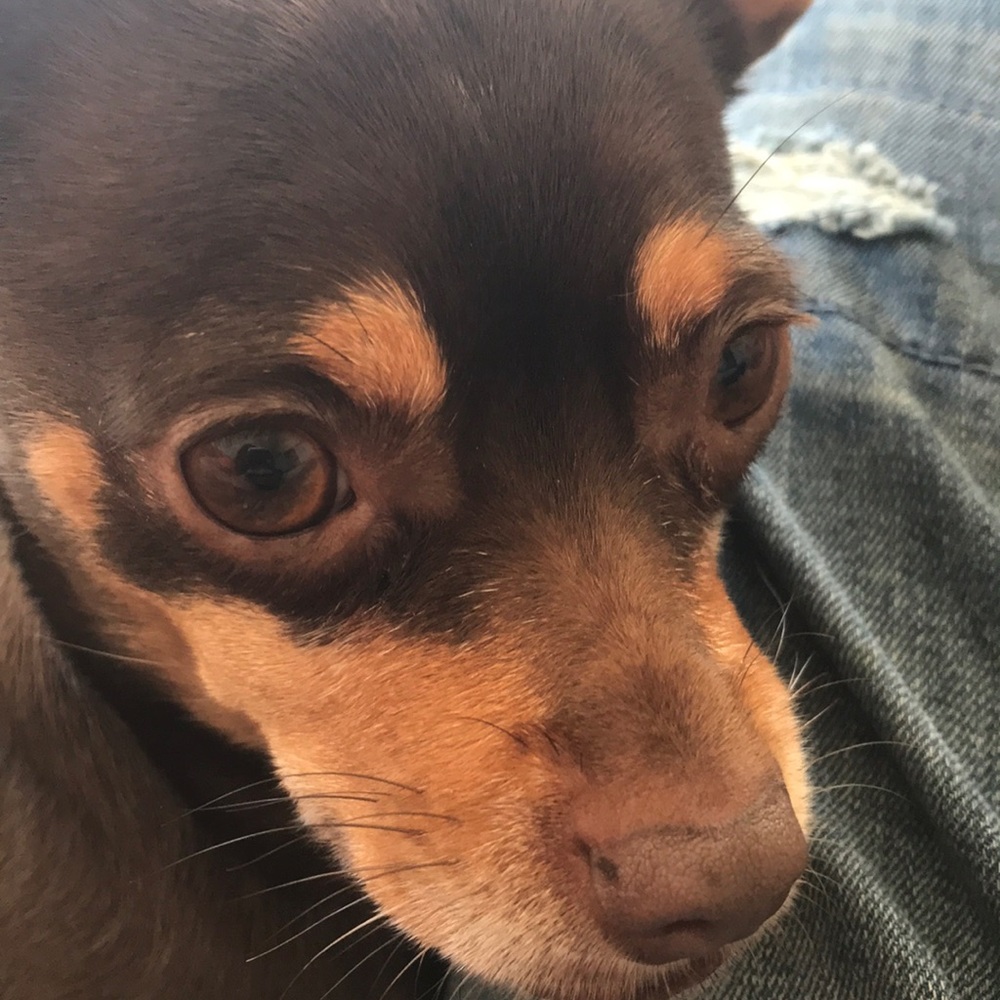 Meet your Posher, Lea